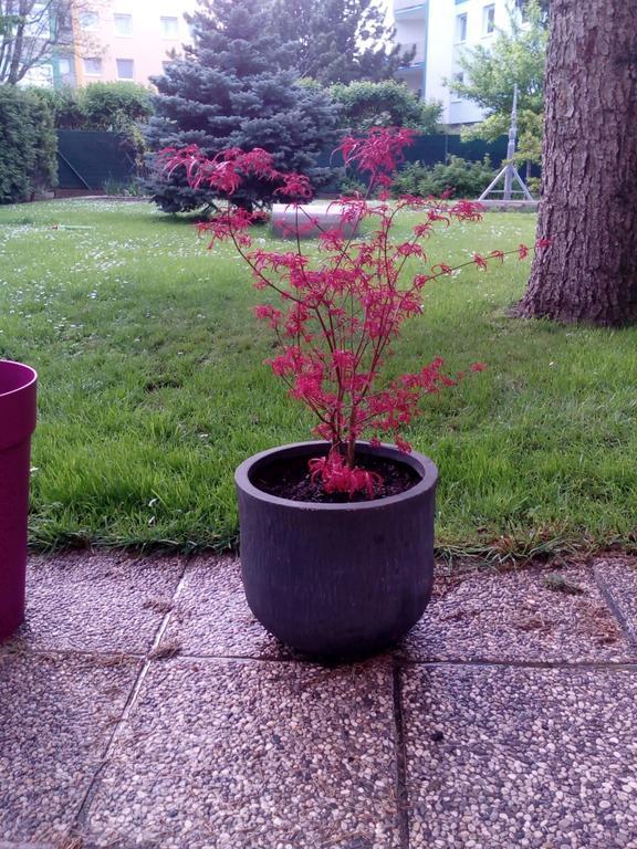 Appartamento Garden Donau-city Vienna