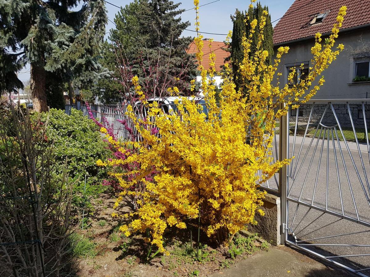 Garden Donau-city Appartamento Vienna